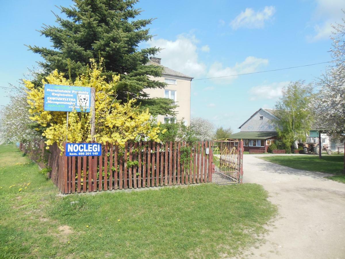 Niezapominajka Villa Jenki Екстериор снимка